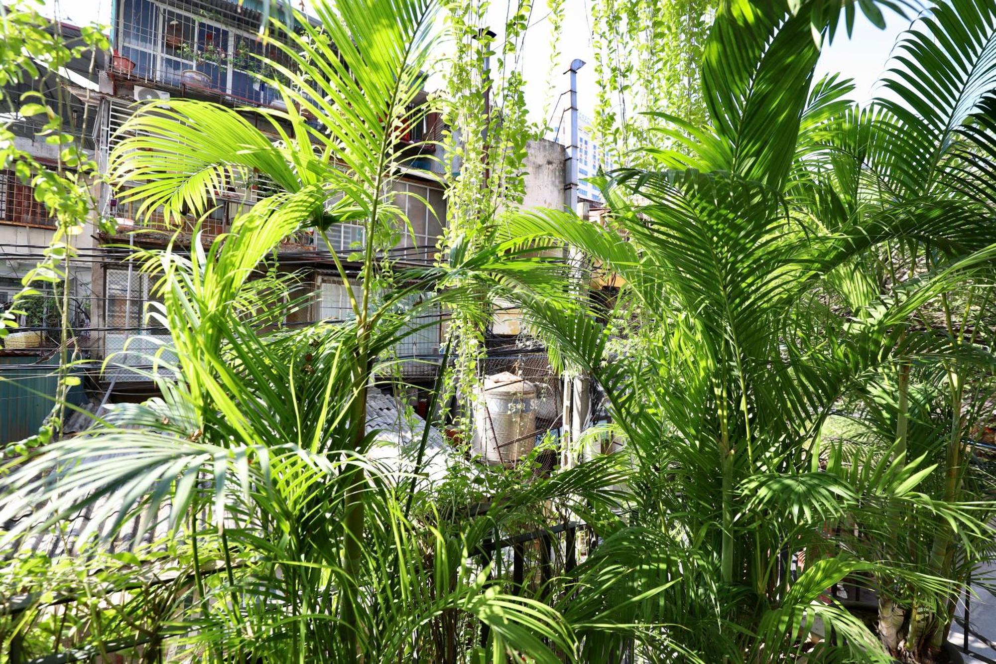 The Garden House Lägenhet Hanoi Exteriör bild